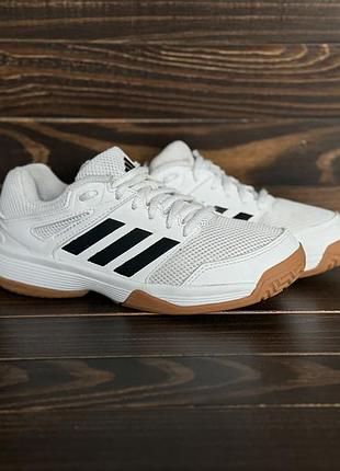 Adidas speedcourt indoor оригинальные кроссовки