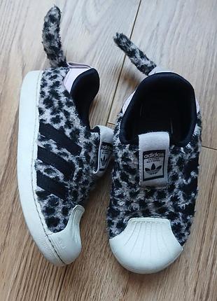 Тапочки леопард, тапки, кросівки adidas 26р. 15.5см.