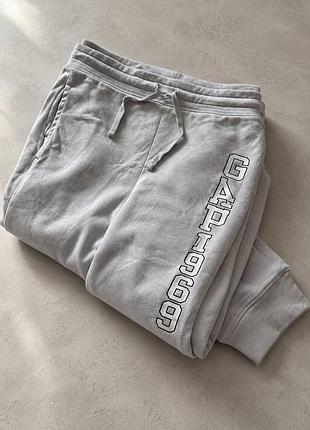 Спортивні штани чоловічі gap сіро-блакитні