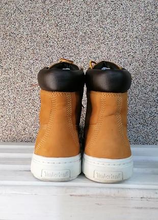 Черевики timberland 5