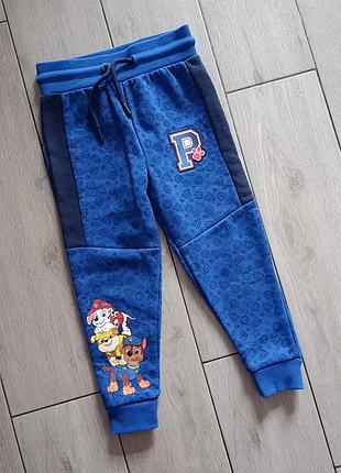 Спортивні штани для хлопчика paw patrol
