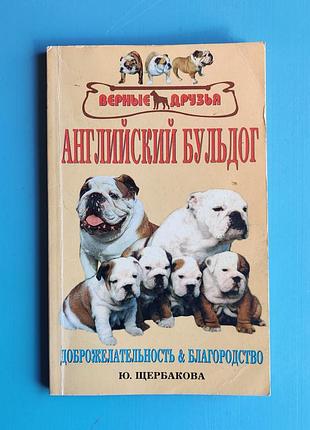 Английский бульдог