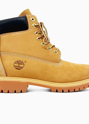 Унисекс timeberland classic boots ginger 2