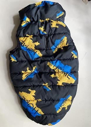 Куртка для собаки, демісезонна, розмір xs