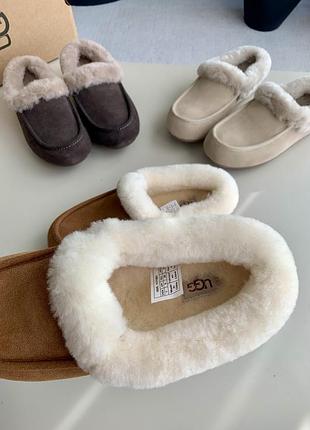 Ugg women's ansley mule chestnut 8