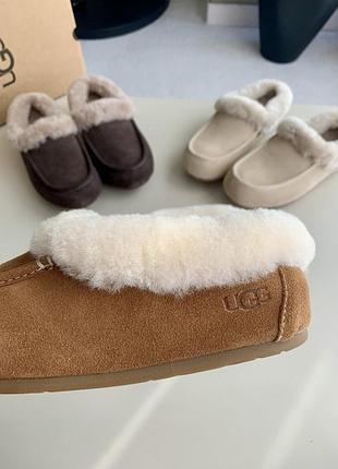 Ugg women's ansley mule chestnut 7