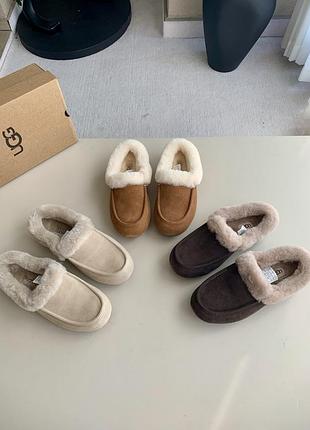 Ugg women's ansley mule chestnut