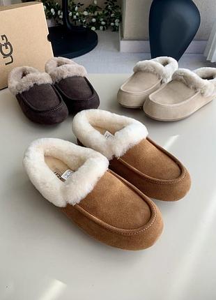 Ugg women's ansley mule chestnut 4
