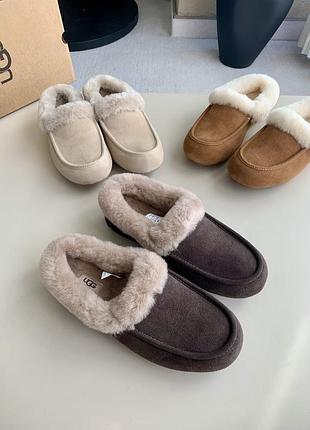 Ugg women's ansley mule chestnut 2