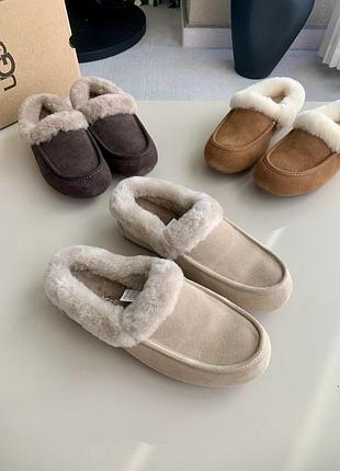 Ugg women's ansley mule chestnut 3