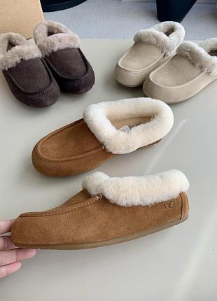 Ugg women's ansley mule chestnut 5