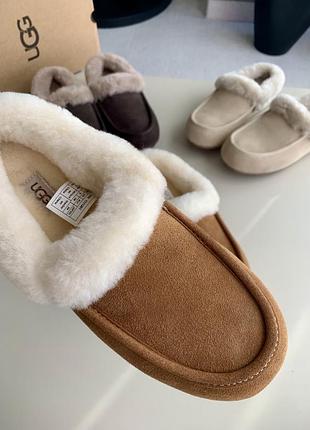 Ugg women's ansley mule chestnut 6