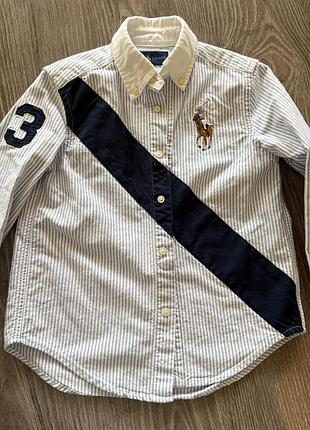 Сорочка для хлопчика polo ralph lauren в смужку, біло-синя, 4 роки