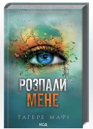 Книга ,,розпали менеʼʼ
