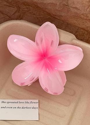 Зажим для волос, заколка краб для волос, цветок, "гавайский цветок", fairy pink