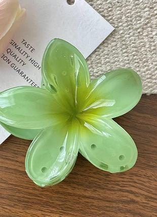 Зажим для волос, заколка краб для волос, цветок, "гавайский цветок", lime bloom
