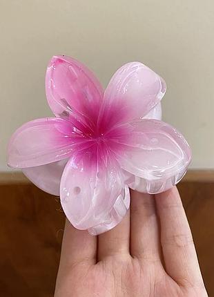 Зажим для волосся, заколка краб для волос, квітка, flaming pink
