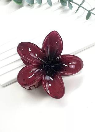 Зажим для волос, заколка краб для волос, цветок, "гавайский цветок", cherry wine