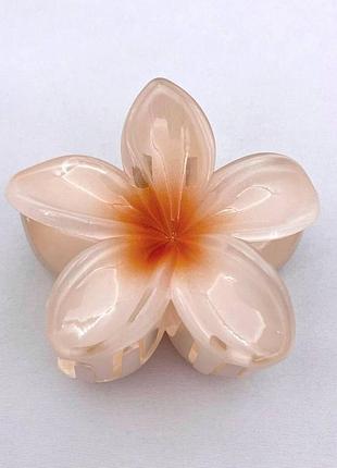 Зажим для волосся, заколка краб для волос, квітка, "гавайська квітка", golden peach