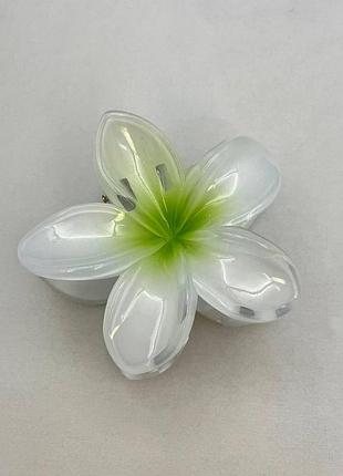 Зажим для волос, заколка краб для волос, цветок, "гавайский цветок", spring bloom
