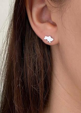 Серебряные серьги пусеты 925 пробы
