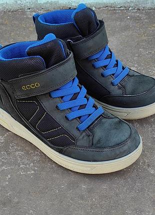 Черевики ecco