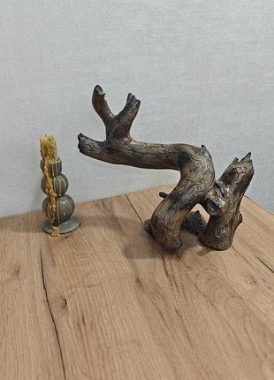 Коряга, созданная самой природой