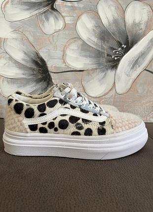 Кросівки vans