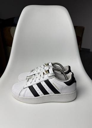 Кросівки adidas superstar на платформі