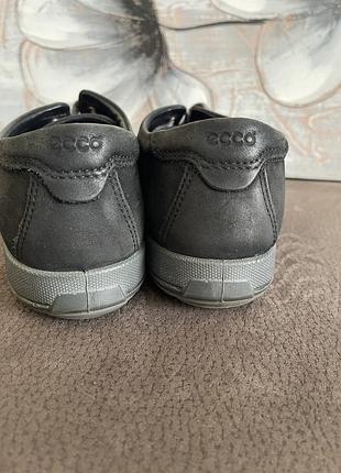 Кросівки, кеди ecco 3