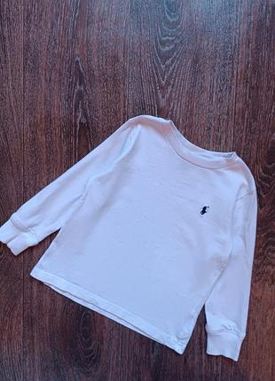 Лонг polo ralph lauren