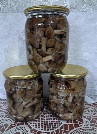 Опеньки консервовані