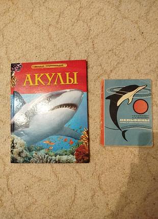 Акулы и дельфины
шейх миллер акулы
клейненберг белькевич дельфины