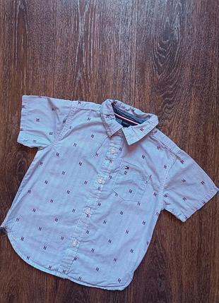 Сорочка tommy hilfiger