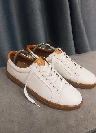 Кроссовки ted baker udamou 3