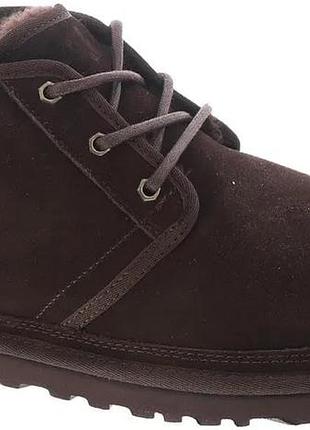 Мужские сапоги ugg 51р., коричневые, 35 см