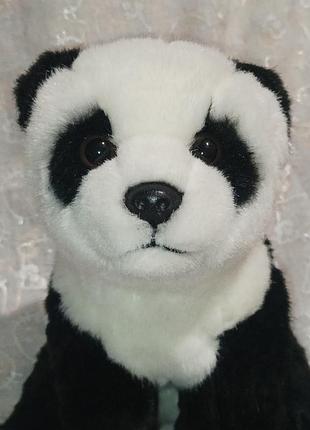 Панда ведмедик wwf