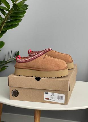 Ugg tazz ii chestnut