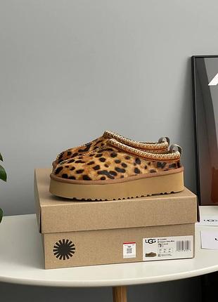 Ugg tasman platform leopard