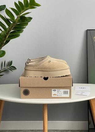 Ugg tazz ii beige 8