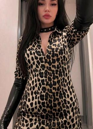 Сукня коротка леопардова 🐆 вільний крій zara 👗 сукня-сорочка zara m s 🐆 анімалістичний принт🤎 фірмова жіноча сукня 🤎 гарна жіноча сукня