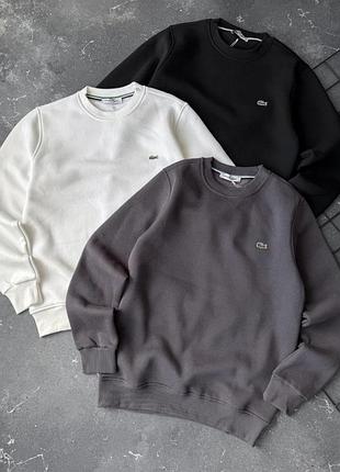 Світшот чоловічий lacoste