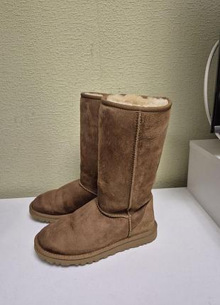 Фірмові високі ugg