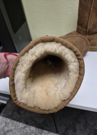 Фірмові високі ugg 5