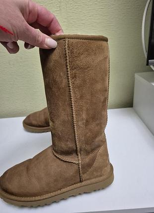 Фірмові високі ugg 2