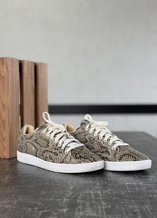 Кеди puma match 2