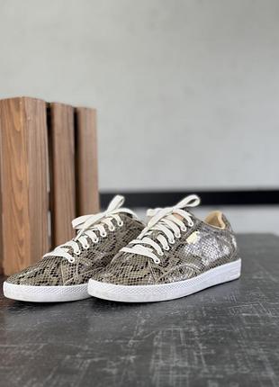 Кеди puma match 3