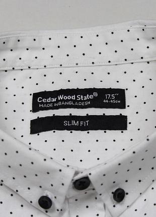 Симпатичная приталенная / slim git рубашка в горошек / точечный мультипринт от cedarwood state 4
