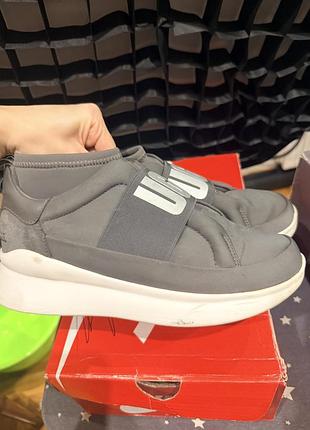 Черевики жіночі ugg сірі 4