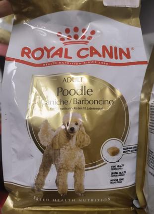 Корм для собак royal canin adult poodle сухий 500 г